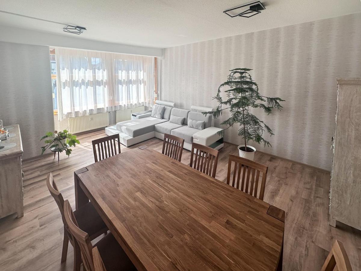 Schoene Altbauwohnung Mit Grosser Sonnenterrasse Rudolstadt Zewnętrze zdjęcie
